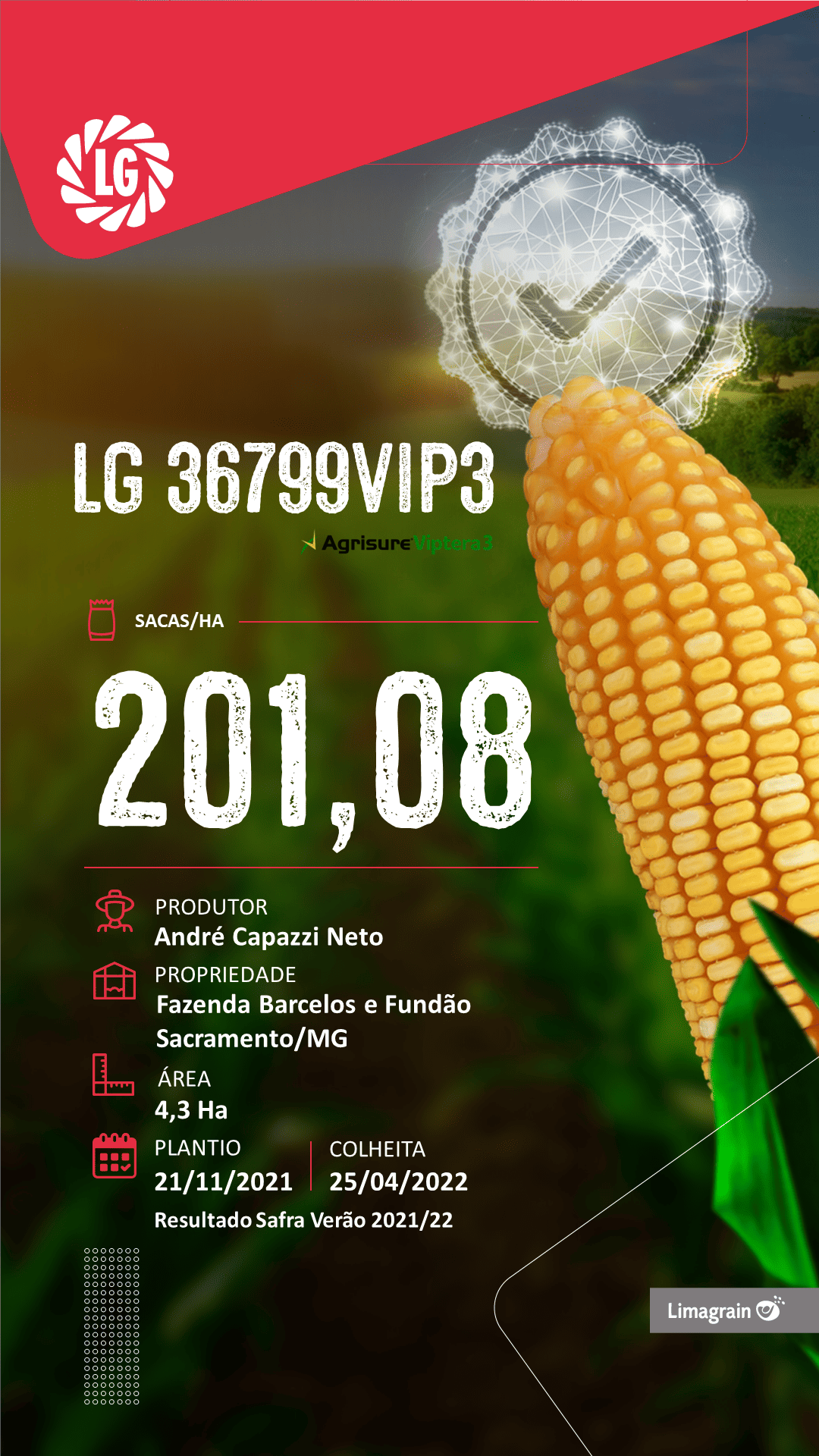 resultado-de-produtividade-36799